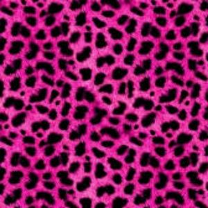 Meet your Posher, Zoei